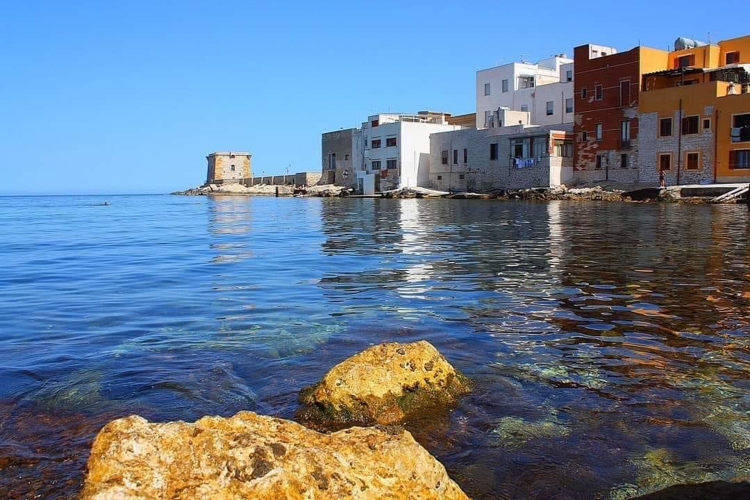 Immagine della galleria 1